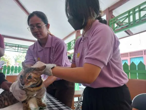 Hari Rabies Sedunia Hampir Anjing Dan Kucing Di Klaten Divaksinasi