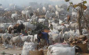 Memilah sampah di TPA Putri Cempo