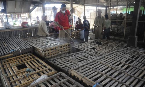 PASAR TRADISIONAL : Drainase Pasar Ayam Tersumbat, Limbah ke Permukiman Warga.