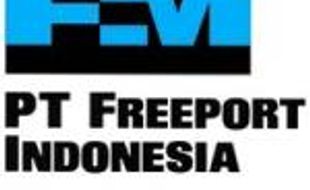 KONTRAK KARYA FREEPORT : Dongkrak TKDN, Freeport Sanggup Beli Produk BUMN