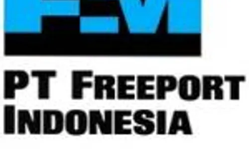 KONTRAK FREEPORT : Perubahan Kontrak Tidak Langsung Memperpanjang Jangka Waktu Operasi Freeport