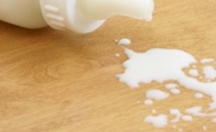 11 Produsen susu tak beri bantuan susu formula untuk bencana