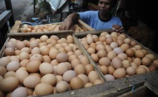 TELUR AYAM