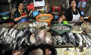 Nelayan Gunungkidul Panen Tongkol