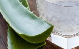 TIPS KECANTIKAN : Inilah Bahan Alami untuk Mengatasi Kulit Kering