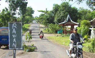 Rusak parah, jalan Wonogiri-Pacitan dipasangi gambar tengkorak