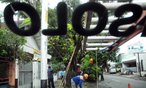 Gara-Gara Tebangi Pohon Turus Jalan, Tokoh Masyarakat Sragen Ini Diadukan ke Polisi