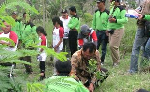 Lereng Merapi ditanami 10.000 tanaman buah