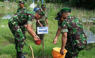 PROGRAM PENGHIJAUAN : Perhutani-TNI Hijaukan Lahan Bekas Kebakaran Gunung Slamet