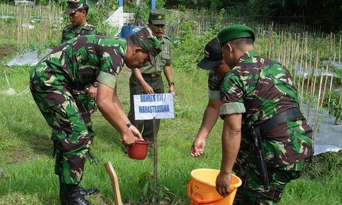 PROGRAM PENGHIJAUAN : Perhutani-TNI Hijaukan Lahan Bekas Kebakaran Gunung Slamet