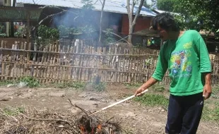 Puluhan bebek mati, diduga terserang tetelo