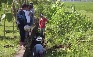 Mayat tanpa identitas ditemukan di sawah