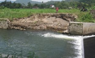 PERTANIAN KLATEN : Tanggul Jebol, 2 Hektare Sawah Tak Produktif