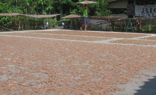 Sulit bersaing, usaha kecil kerupuk gulung tikar