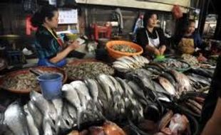 Minapolitan Tanjungsari dilengkapi pasar ikan