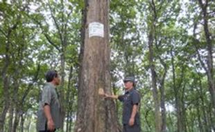 Bupati Grobogan minta kawasan Sendang Coyo jadi hutan lindung