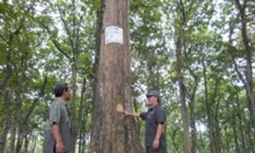 Bupati Grobogan minta kawasan Sendang Coyo jadi hutan lindung