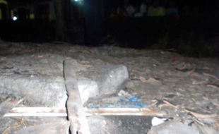 Warga curigai blok beton di kandang kambing Yulianto