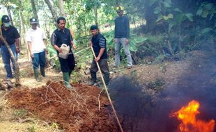 Lagi, kasus sapi mati mendadak terjadi di Sragen 