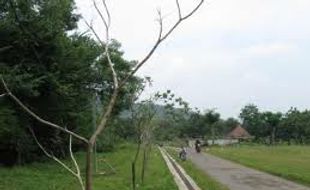 200 Makam kampung dijadikan hutan kota