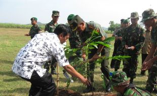 Danrem panen padi organik