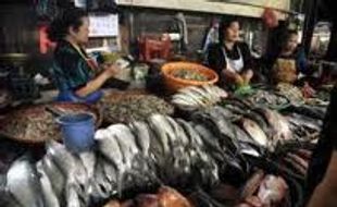 Pasar Ikan Balekambang siap dikelola pihak ketiga