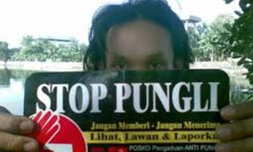 PEMBERANTASAN PUNGLI : Sektor Perizinan dan Dana Bansos Paling Rawan Pungli