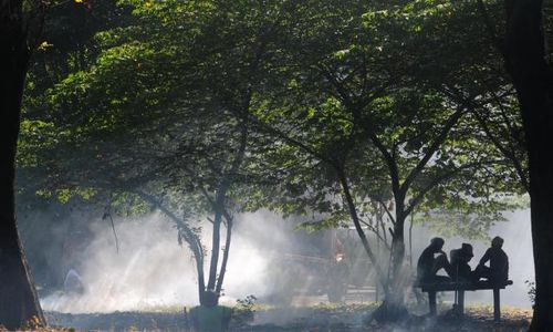 MUSIM KEMARAU : Banyak Lahan Kering, BKD Imbau Warga Jangan Bakar Sampah