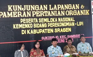 Serangan wereng, petani gagal panen bakal dapat insentif 