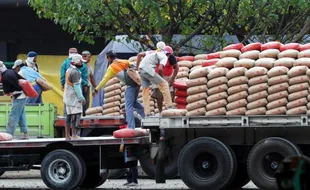 HARGA BAHAN BANGUNAN : Triplek dan Besi Beton Naik