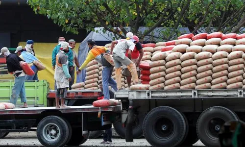 HARGA BAHAN BANGUNAN : Triplek dan Besi Beton Naik