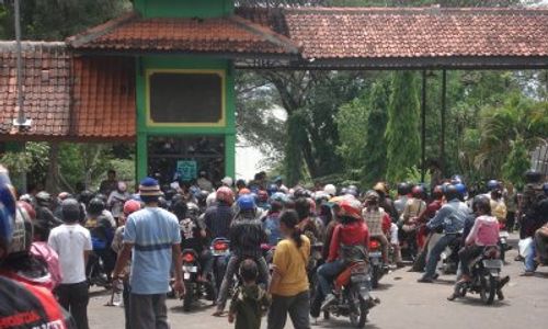 Seekor Anak Rusa di Objek Wisata WGM Wonogiri Mati Diduga Diserang Pejantan