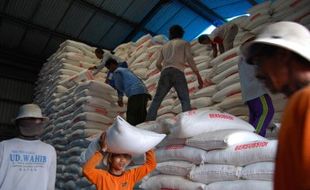 PERTANIAN WONOGIRI : Serapan Pupuk Urea Rendah, Distributor Waswas