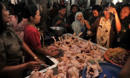 HARGA KEBUTUHAN  : Harga Daging Ayam Tembus Rp35.000 per Kilo