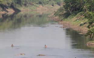 BERMAIN DI SUNGAI BENGAWAN SOLO