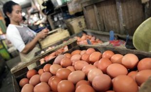 Pemerintah pastikan pasokan ayam dan telur aman 