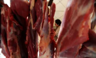 Dispertan Solo perketat pengawasan peredaran daging