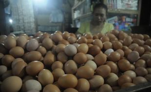 Telur dan daging di Sukoharjo naik Rp 3.000/ Kg