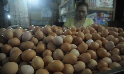 Telur dan daging di Sukoharjo naik Rp 3.000/ Kg