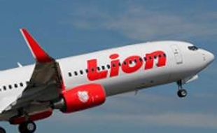 Sering delay, Lion Air dihukum istirahatkan 13 pesawat 