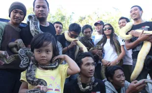 NGABUBURIT BERSAMA KOMUNITAS REPTIL DI MANAHAN