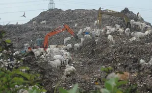 Kota Solo Bakal Impor Sampah!