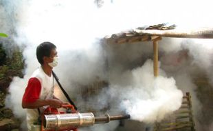 Kecamatan Bulu, Sukoharjo masih langganan chikungunya