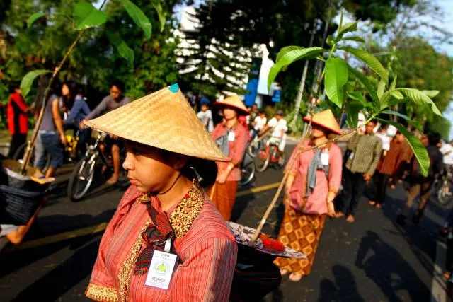 Mengenal Tiga Versi Pohon Sala yang Disebut Jadi Asal Usul Kota Solo