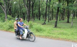 Alas Kethu dan karst masuk kawasan hutan penelitian