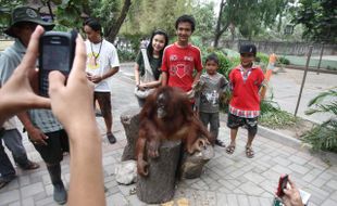 LIBURAN SEKOLAH