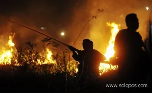 Hutan Gunung Lawu terbakar lagi