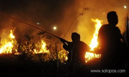 Hutan Gunung Lawu terbakar lagi