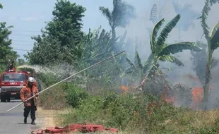 KEBAKARAN DI LAHAN KOSONG