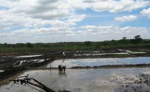 PETANI TERLAMBAT MENANAM KARENA KEKURANGAN AIR